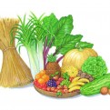 Harvest_000001